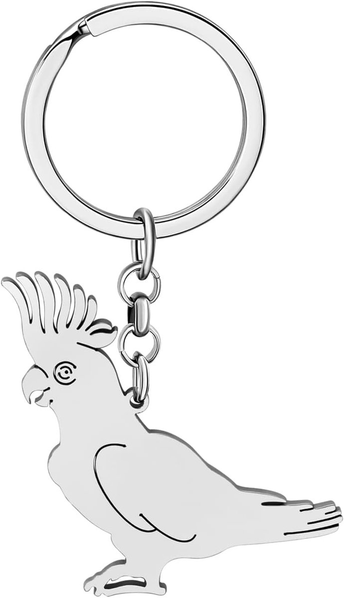 Leuke Valkparkiet ara Papegaai Sleutelhangers Auto Sleutelhanger Charms Sieraden Geschenken Voor Vrouwen Meisjes Decor
