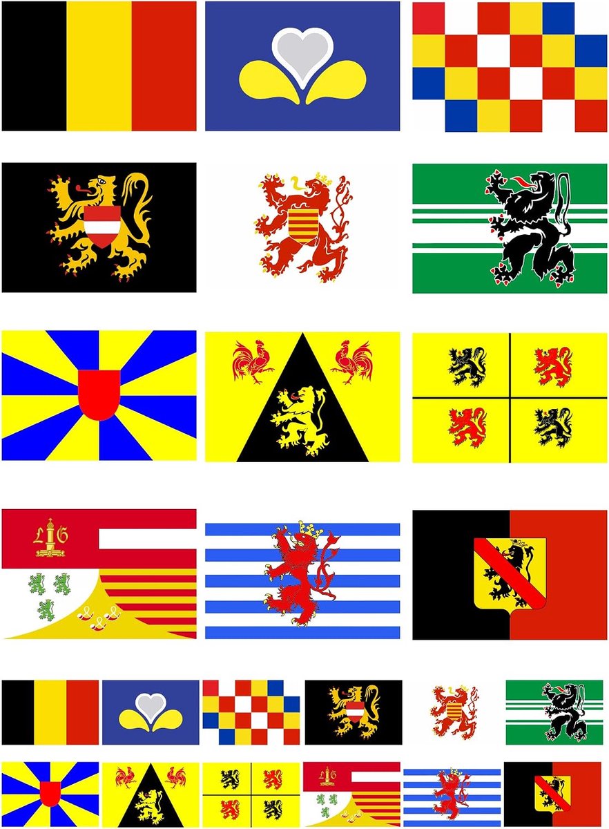 Provincies alle vlaggen vlaggen set 25 stuks stickers kaart stickervel - auto vlag vlag set Decal - PRO