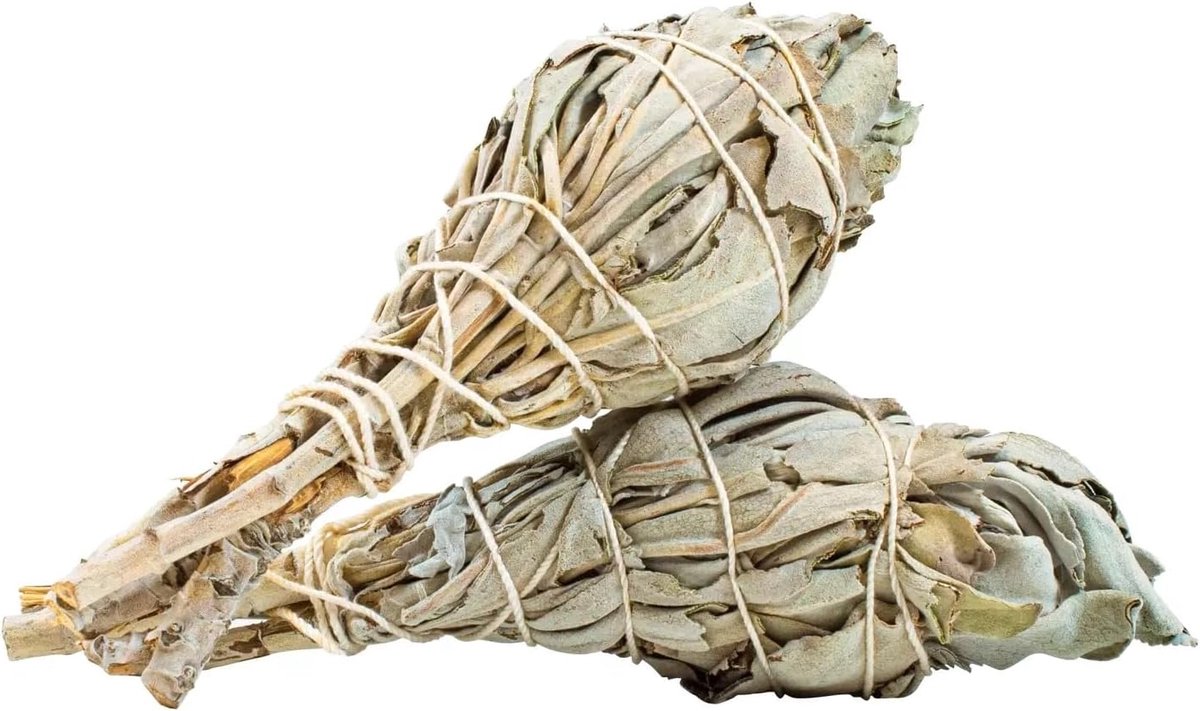 Wierook | Salvia apiana | Verenigde Staten | Voor yoga, meditatie of aromatherapie | De geur van de natuur
