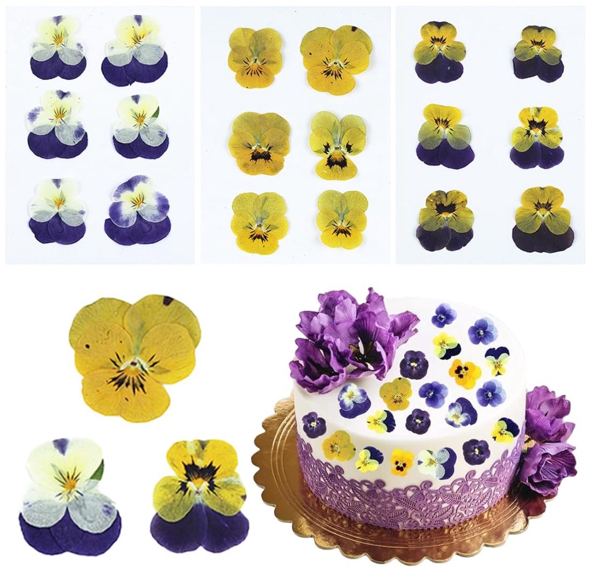 SolidKeus - Set van 18 Geperste Eetbare Bloemen voor Decoratie