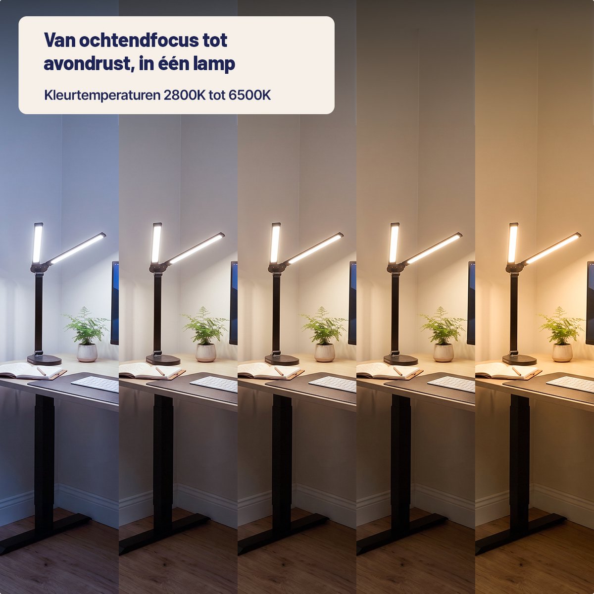 Stane Dubbele Bureaulamp LED Dimbaar - 2 Draaibare Lampenkoppen - 5 Lichtkleuren (2700K-6000K) - Touchbediening - - Tafellamp - Werklamp - Zwart Incl USB-C-Kabel thumbnail 3