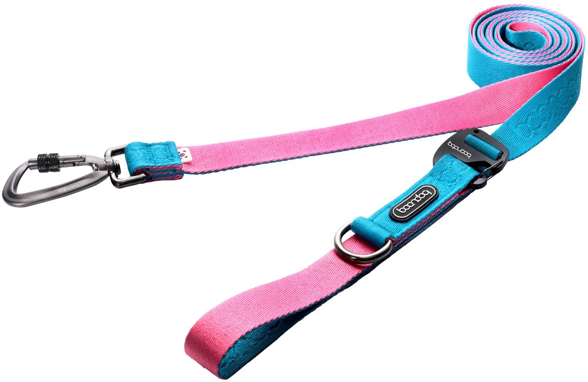 Boondog Hondenriem 3.2m - Verstelbaar - Multifunctioneel - Extra Sterke Nylon Riem - Meer Bewegingsvrijheid - Karabijnhaak - Aqua/Pink - Maat L