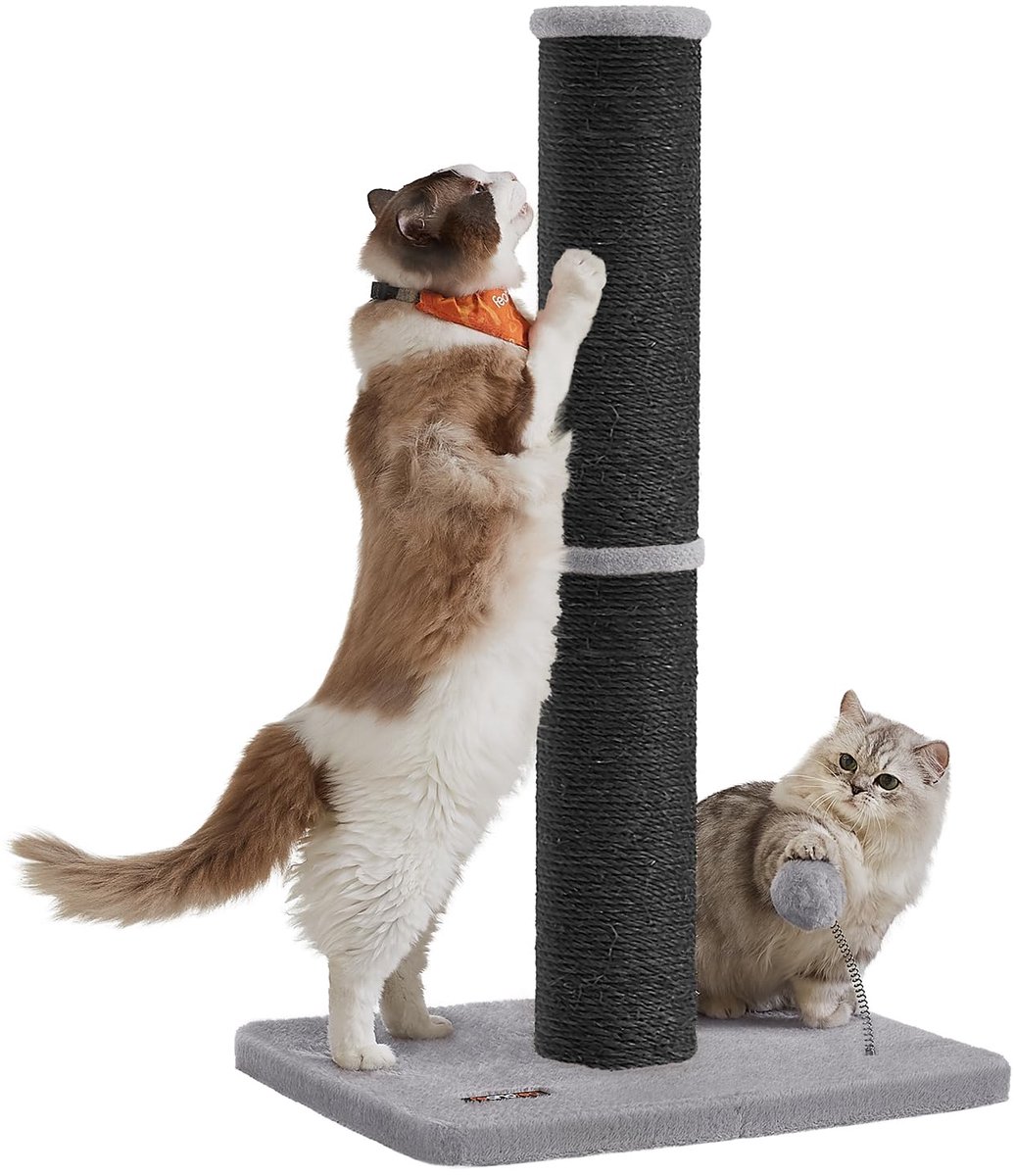Kattenkrabpaal 85 cm Hoog - Stevige Krabpaal met 13 cm Dikke Sisal Stam - Voor Middelgrote & Grote Katten - Met Pluche Bal en Belletje - Katten Speelgoed & Krabmeubel - Grijs/Zwart