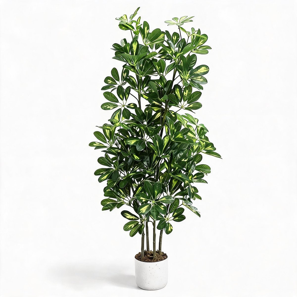 Danky Premium kunst Schefflera parapluboom 120cm PEVA bladeren - weelderige tropische kunstplant voorgemonteerd in zwarte pot voor salon en entree