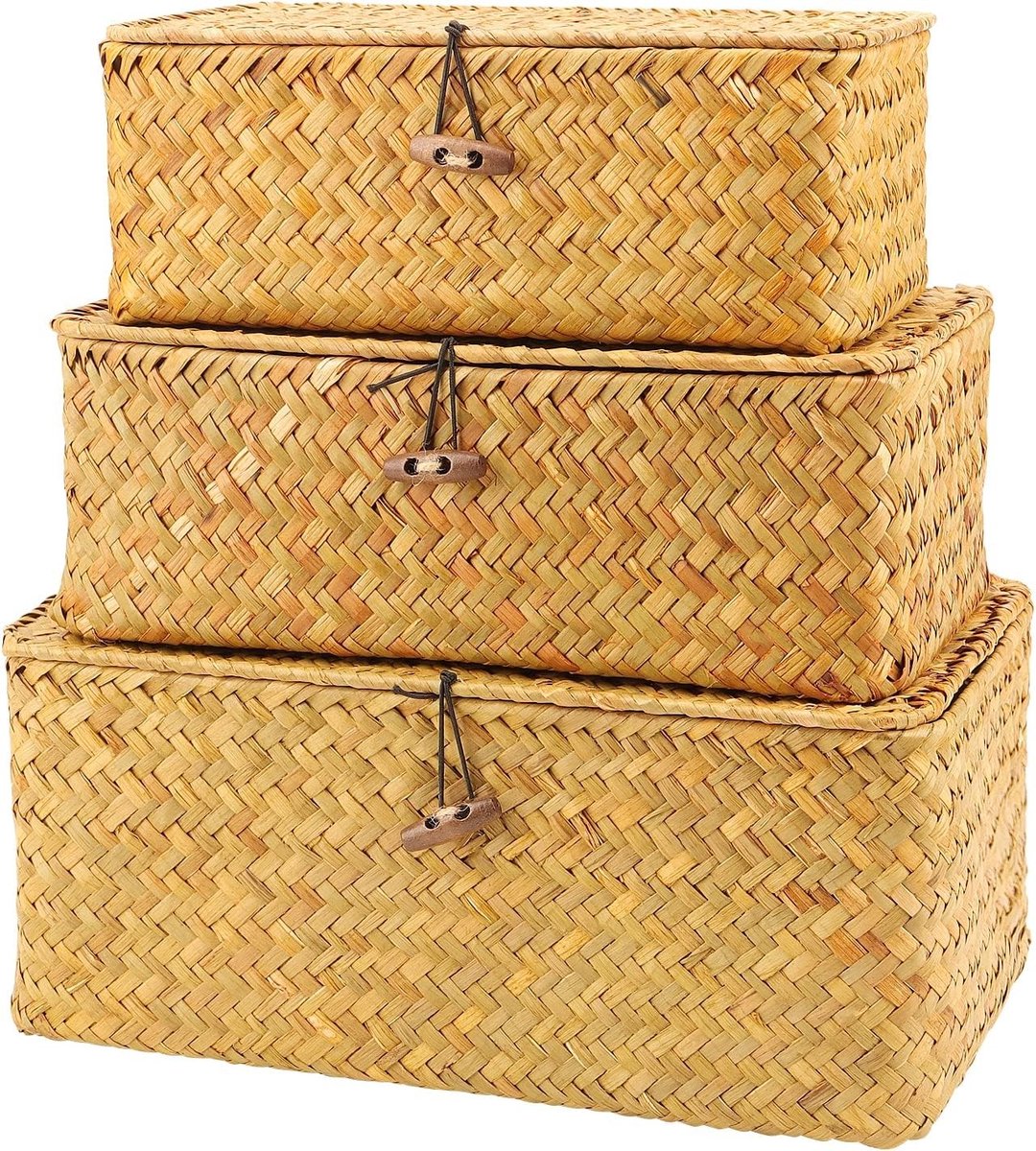 Set van 3 Opbergmanden met Deksel, Rieten Mandenset, Gevlochten Rieten Opbergmanden voor Woonkamer en Keuken, Multifunctionele Mandjes in Groot, Middelgroot en Klein formaat