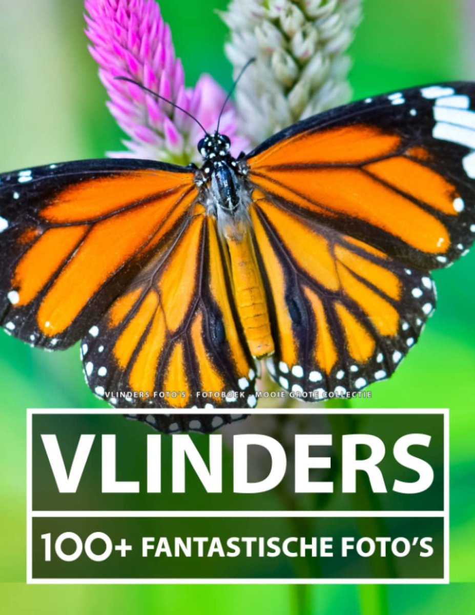 Foto's - Fotoboek - Mooie Grote Collectie: 100+ Geweldige Afbeeldingen - Voor Kinderen En Volwassenen
