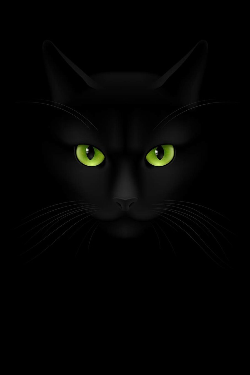 Lover's Journal: Cat Gratitude Notebook and Writing Journal for Women 6x9 100-Page with Prompted and Lined Journal Pages for Cat Lovers