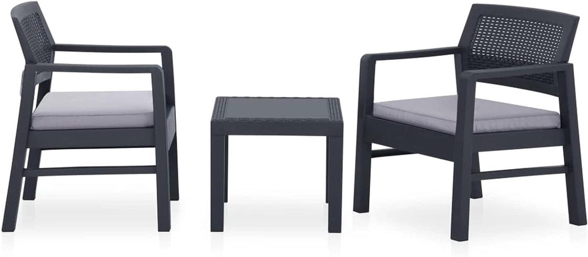 Tuinset 3-delig - Balkonset Tuinstoelen - Buiten Ontspannen - Lichtgewicht Constructie - 80 x 61 x 40 cm - Grijs