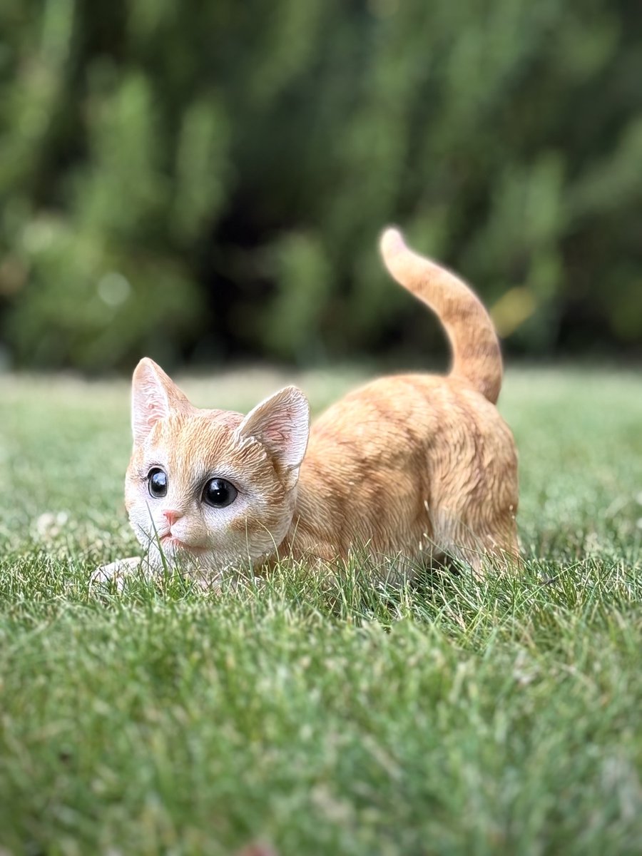 poes spelend sluip rood 16 cm hoog ess - decoratief beeld - kat - kitten - dierenbeeld - voor buiten - cadeau - geschenk - verjaardag - voor hem - voor haar - Vaderdag - Moederdag - Valentijn - Pasen