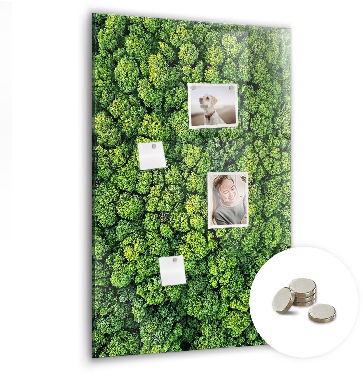 Coloray Glazen Magneetbord - Magnetisch Bord Grote tropische bladeren - 60x90 cm - Groente Magneetbord - Magnetic Board - Bureau Decoratie