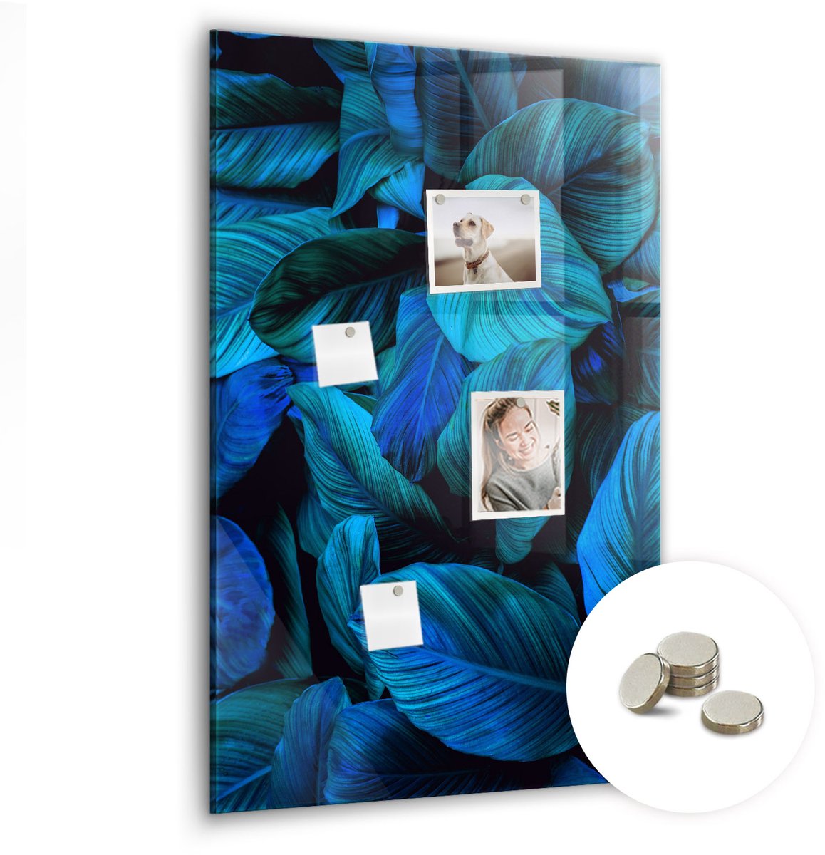 Coloray Glazen Magneetbord - Magnetisch Bord Koffie - 60x90 cm - Blauw Magneetbord - Magnetic Board - Keuken Decoratie
