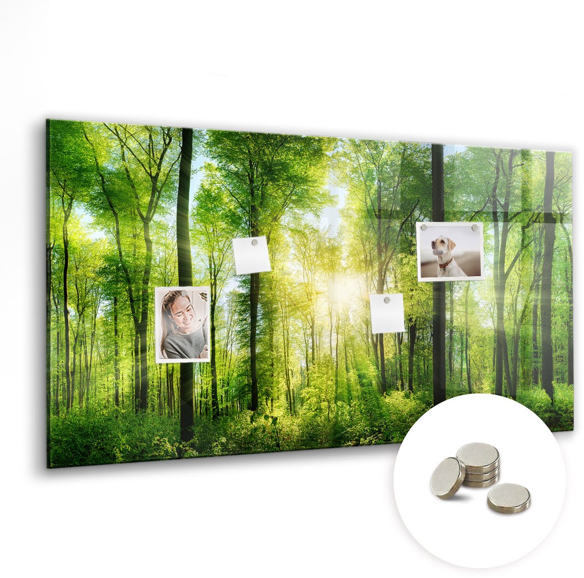 Coloray Glazen Magneetbord - Magnetisch Bord Het opschrift "huis" - 120x60 cm - Groente Magneetbord - Magnetic Board - Memobord