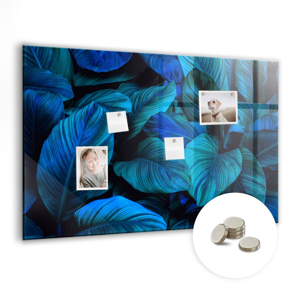 Coloray Glazen Magneetbord - Magnetisch Bord Grote melkwegstelsel - 90x60 cm - Blauw Magneetbord - Magnetic Board - Wanddecoratie