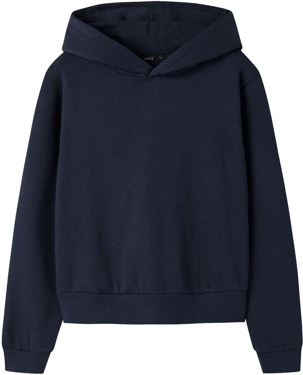 Name it Hoodie Regular fit
