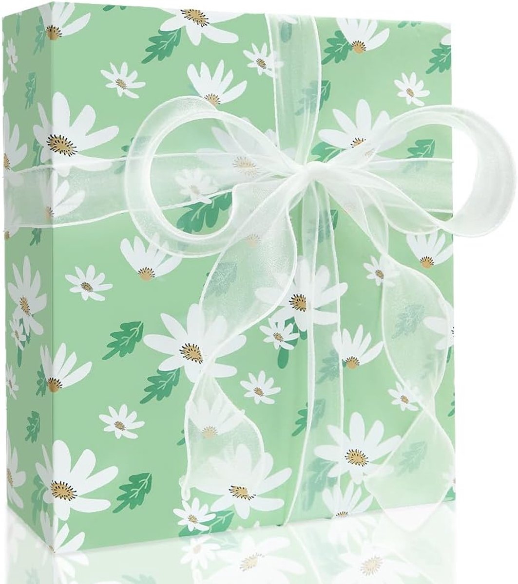 SnelShoppen - Moderne Chic Sierlijke Groovy Boho Lente Witte Madeliefjes Tuin Bloemen Zacht Mint Groen Geschenkpapier Gevouwen Plat 4 Vellen 50x70cm V
