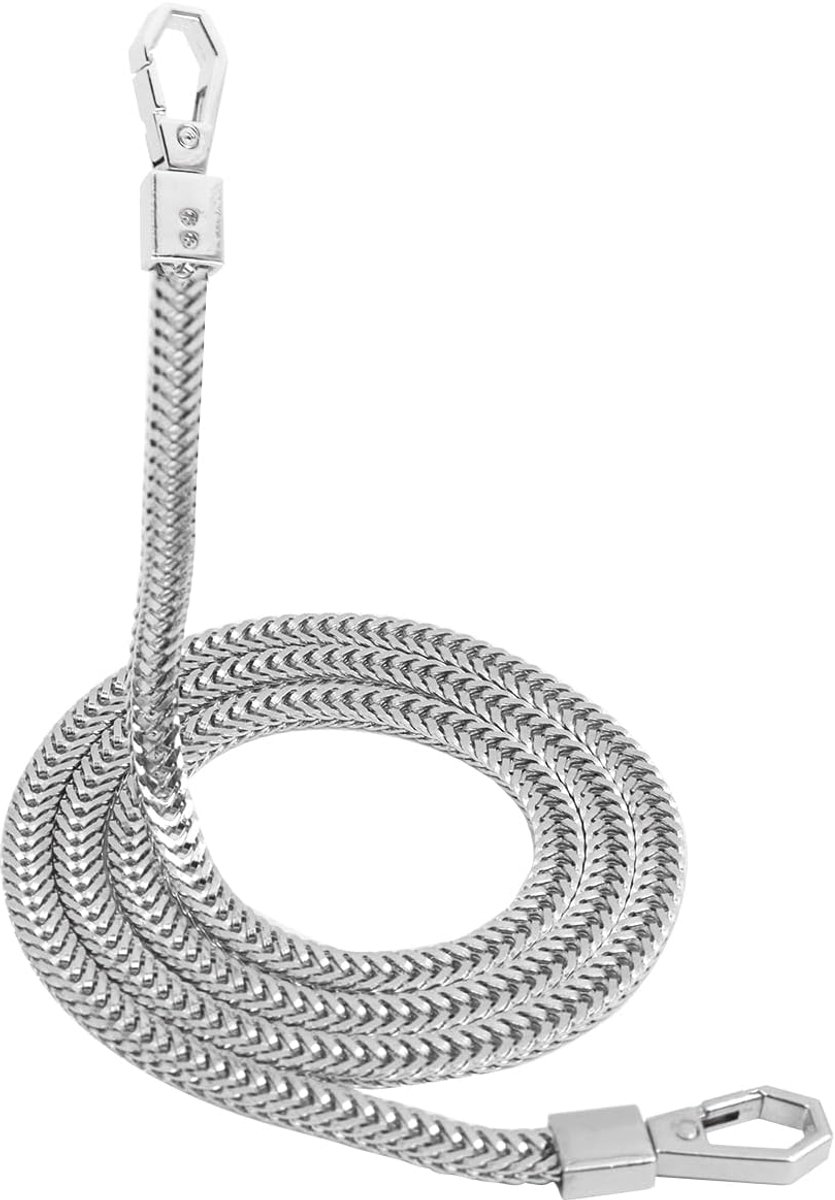 SnelShoppen - Schouderband Voor Tas Metaal Vervangingsketting met Gespen Voor Dames Schoudertas Handtas Zilver Elegante Accessoire