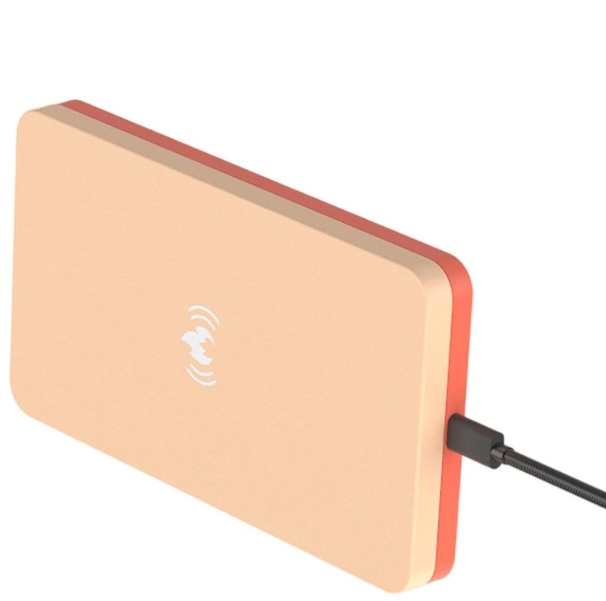 Verwarmingsapparaat Kleine Dieren - Kooi Verwarmer - Constante Warmte Creëren - Kauwbestendige Kabel - 20 x 12 x 3 cm