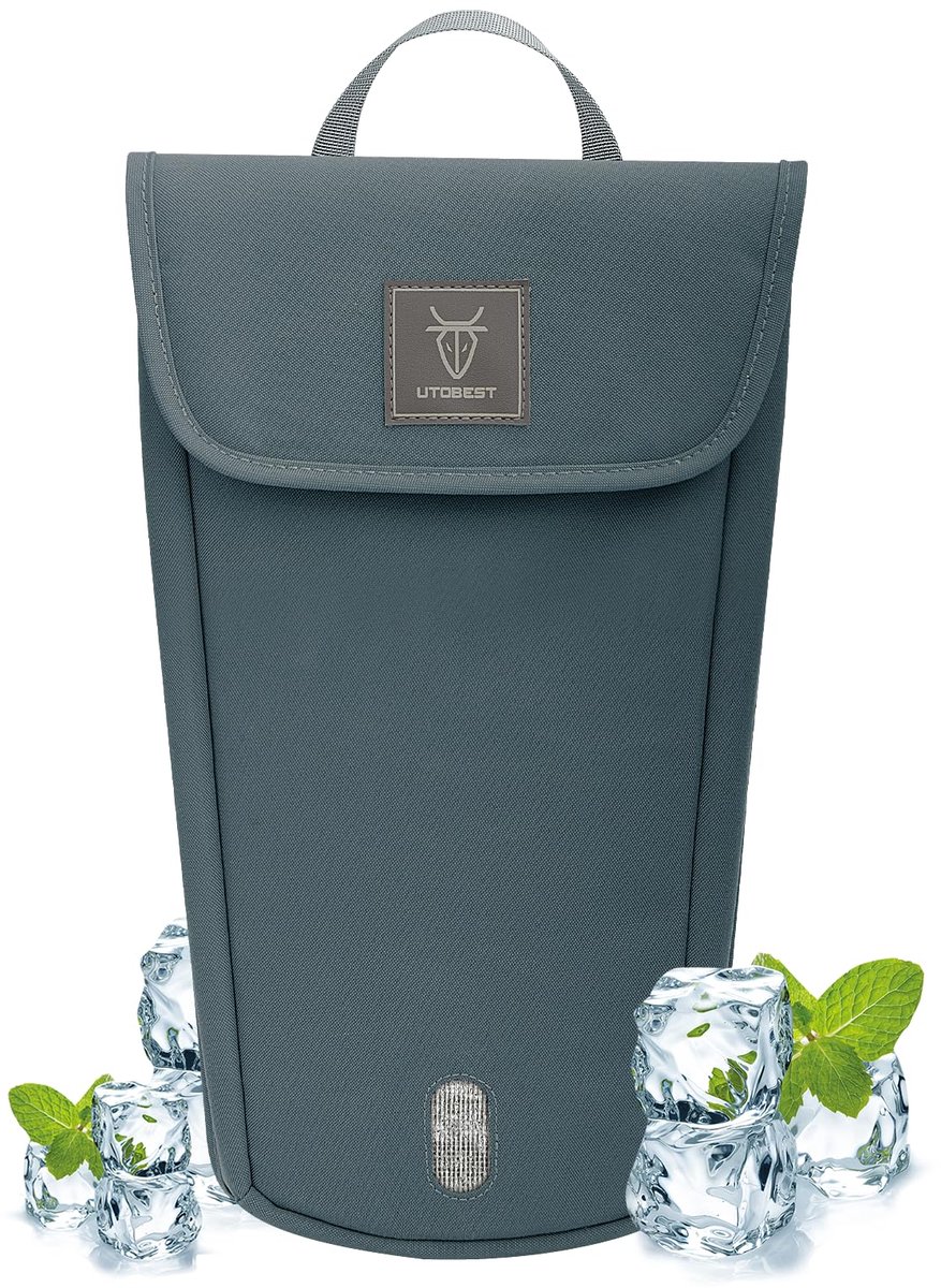 SnelShoppen - Geïsoleerde koeltas 2L - Perfect voor camping, picknick, barbecue, en strand - Blauw, waterdicht, lichtgewicht en duurzaam