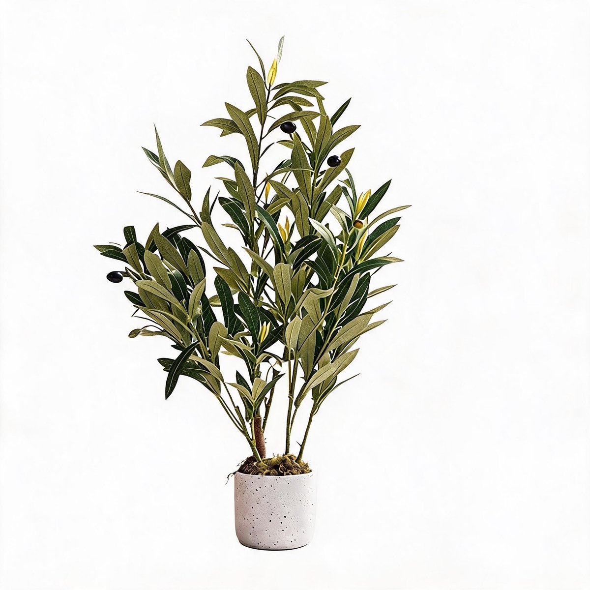 Danky - Luxe Kunst olijfboom - 60cm, premium anti‑UV polyester, zware cementpot voor luxe interieur