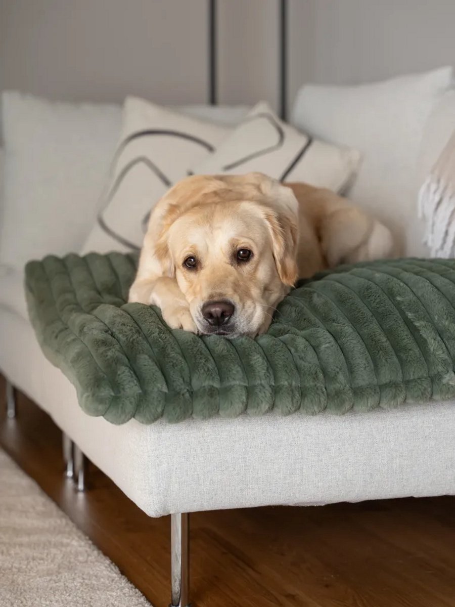 Hondenkleed 75x55 cm - Trendpet Mora - Ribstof wasbaar - Groen