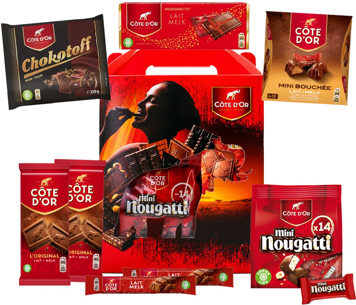Côte d'Or chocolade giftbox 1067g - melkchocolade - mix van individueel verpakte chocolade - chocolade cadeau