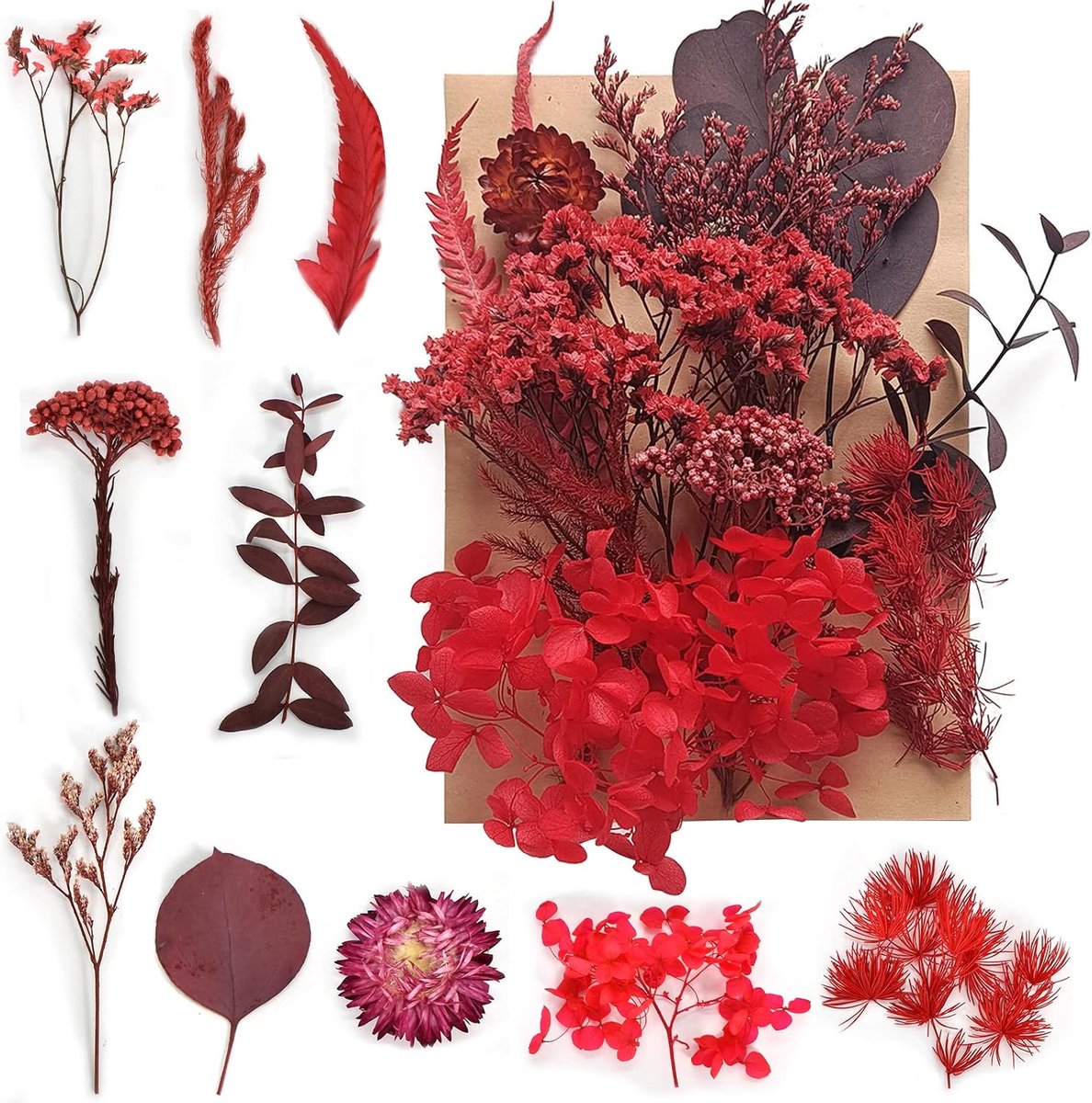 Natuurlijke Gedroogde Bloemen - Natuurlijke Gemengde Bloemen - DIY Gedroogde Bloeme Set voor Kunstnijverheid DIY Epoxy Hars Mallen - Scrapbook Accessoires Kaarten Maken (Rood)