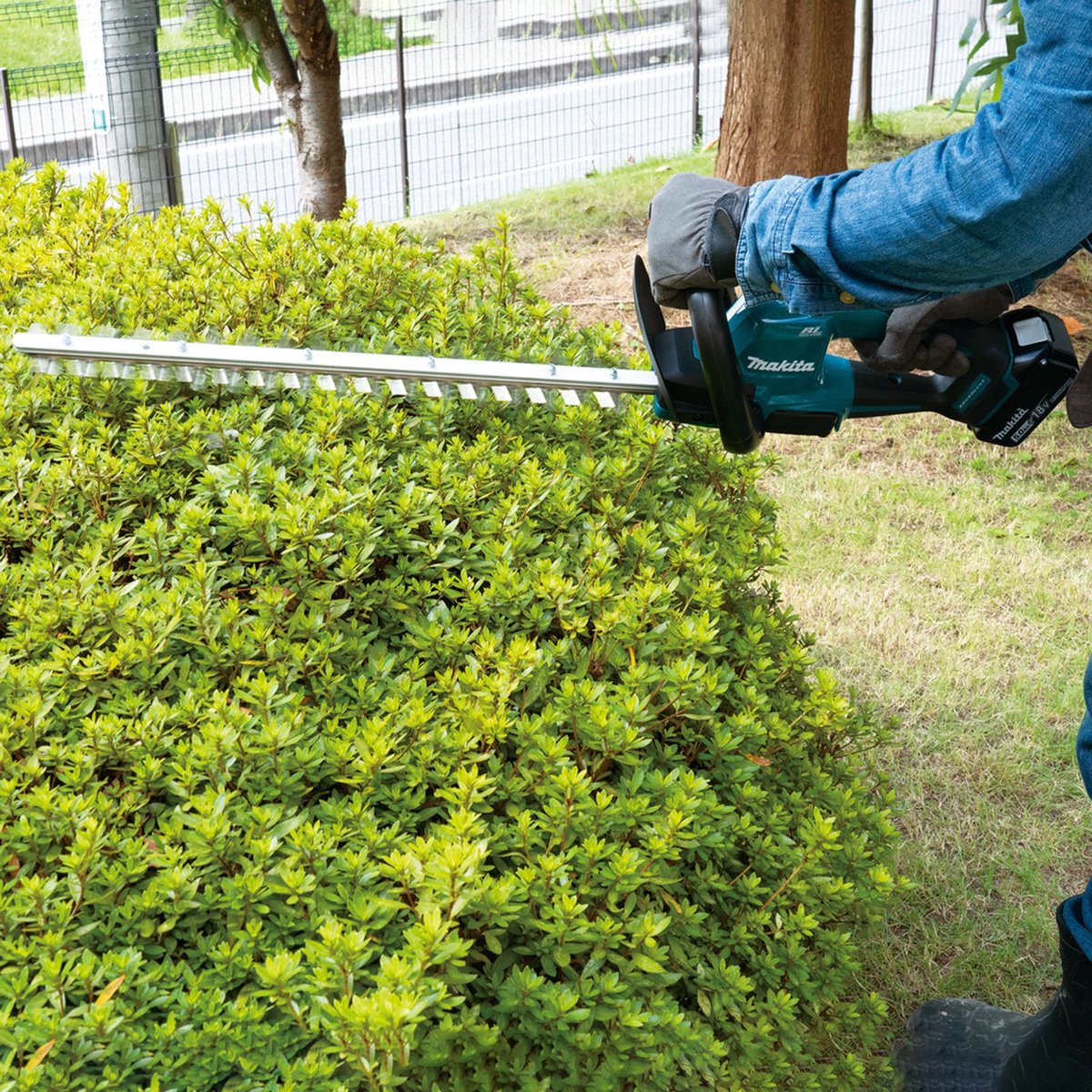 Makita DUH506Z Heggenschaar Accu Zonder accu, Zonder lader 18 V 500 mm