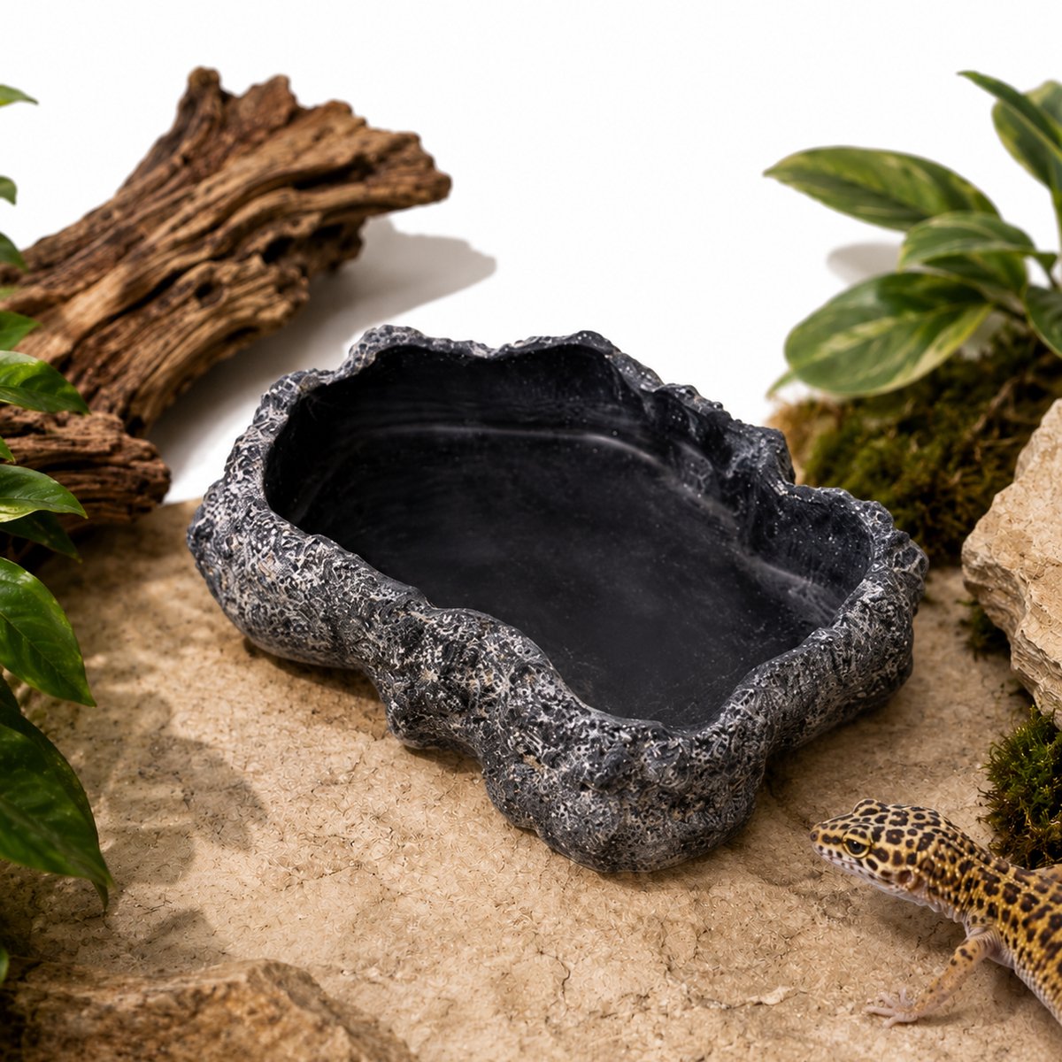 Waterbak voor reptielen - Waterreservoir - Voerbak voor reptielen - Waterbakje - 340ml - Middelgrote voerbak - Geschikt voor hagedissen, schildpadden, slangen en amfibieën - Zwart