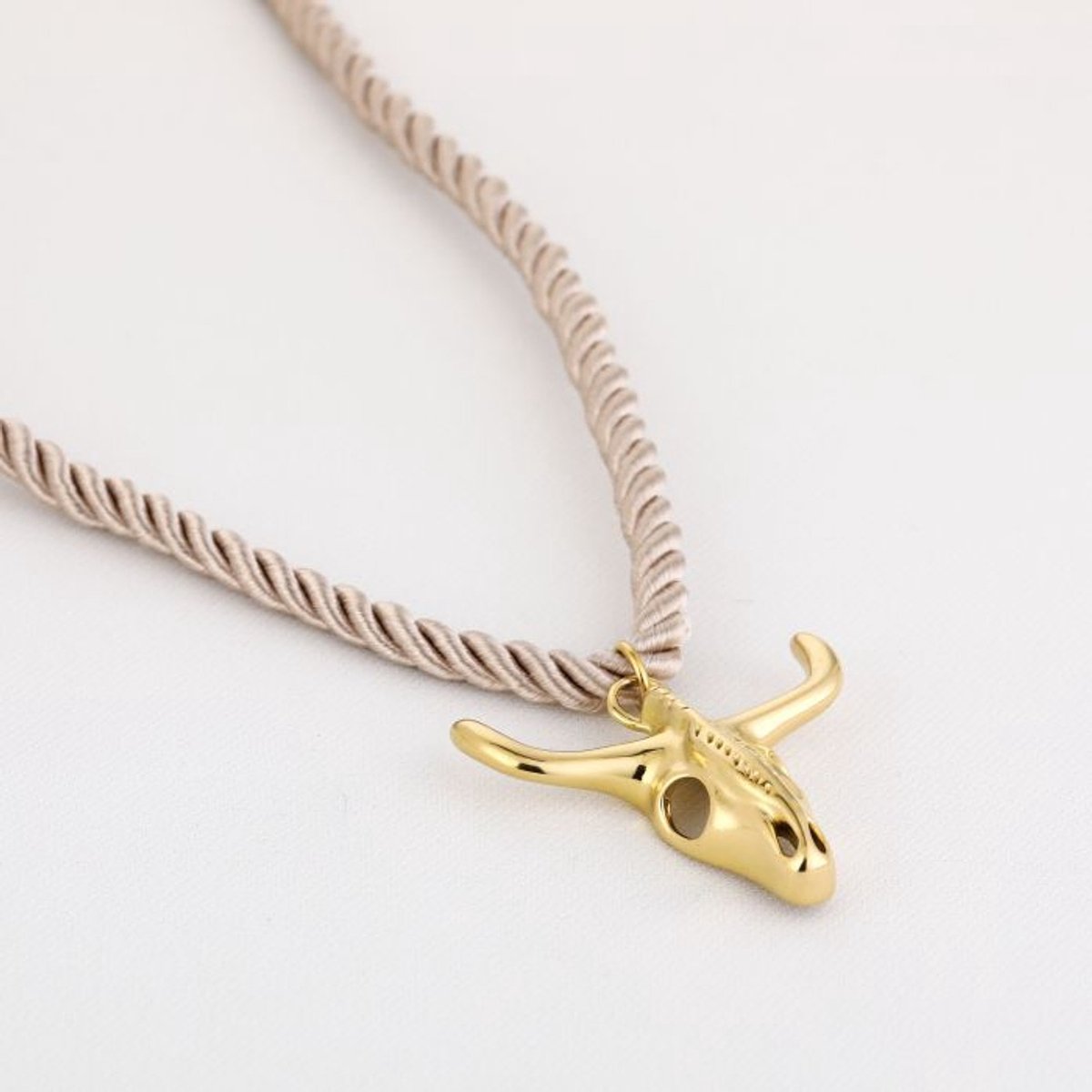ketting - stier - rvs - sieraad - cadeau tip