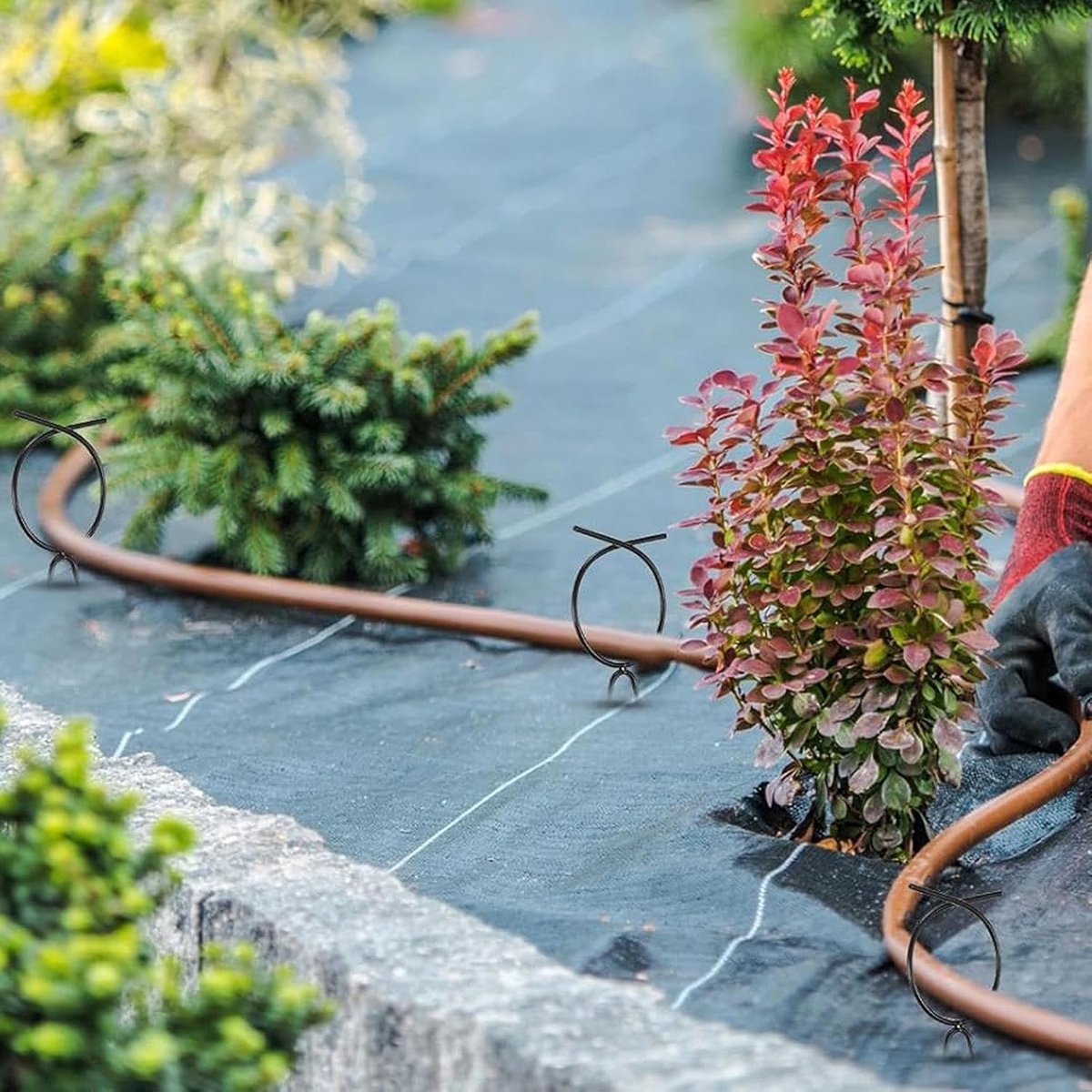 Tuinslanggeleider - Slanggeleider - Tuinonderhoud - Waterdichte Coating - 10 stuks - Zwart – foto 3
