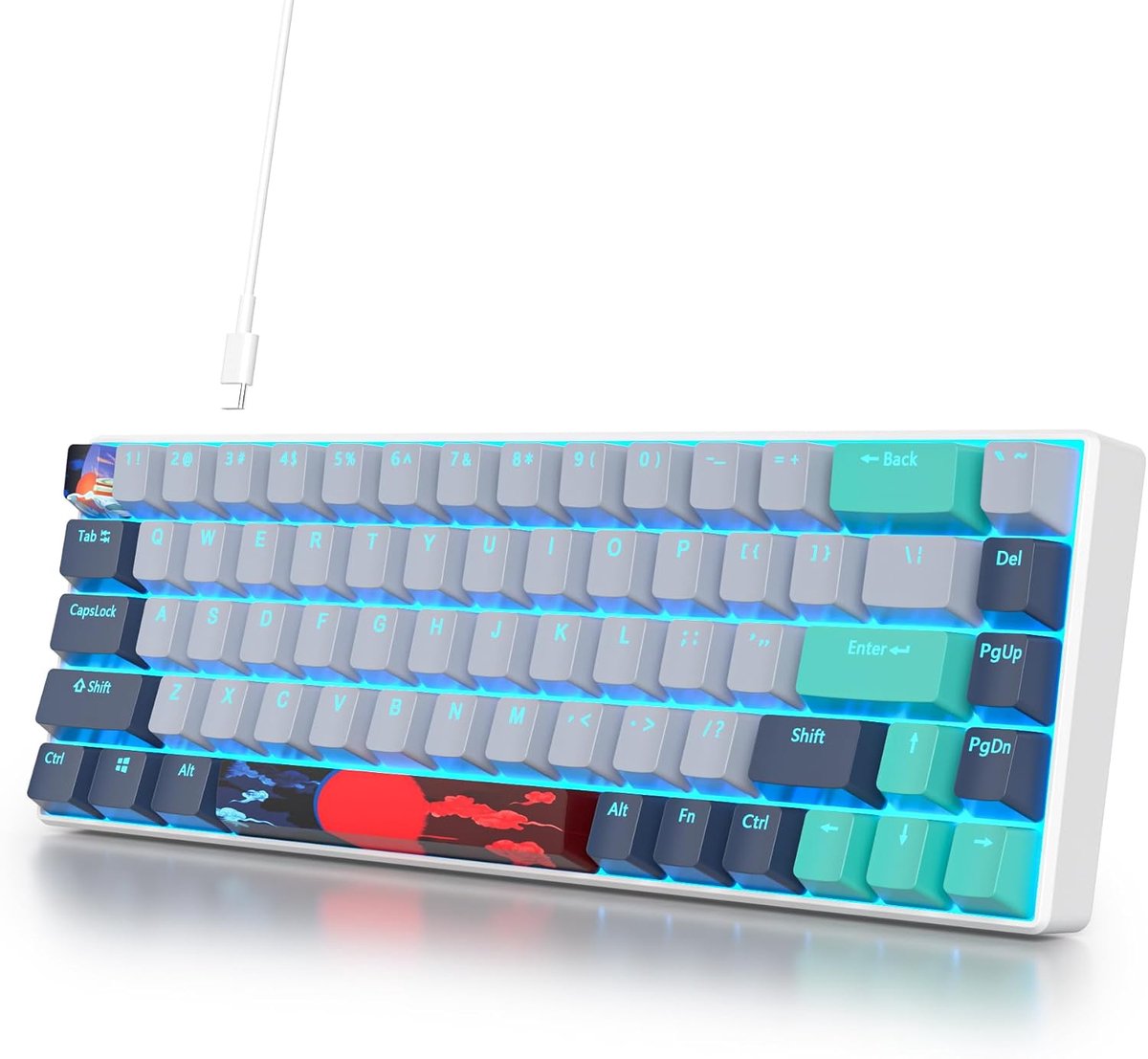 Draagbaar 65% Mechanisch Gaming Toetsenbord,68 Toetsen Compact RGB LED Verlicht Bedraad Toetsenbord met Afneembare USB Type-C Kabel,Lineaire Rode Schakelaar voor Windows PC Mac(68 Shark)