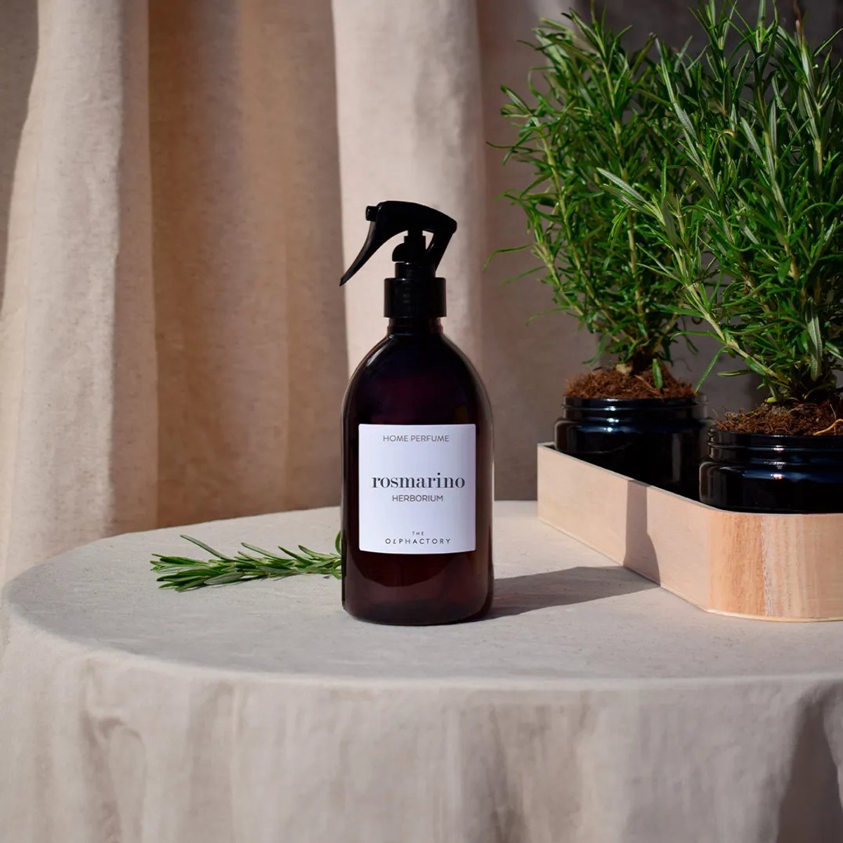 The Olphactory Home Perfume Rosmarino Herborium