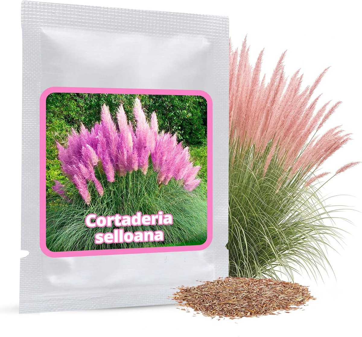Pampasgras zaden 150 stuks - Cortaderia decoratief - Elegante haag tot 3 meter - Onderhoudsvriendelijk - ShopVlot