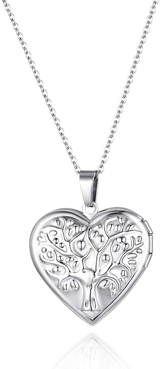 Gepersonaliseerde Foto Medaillon Ketting: Dames Prachtige Ovale Hart Medaillon Graveerbare Hanger Ketting met Foto Herinnering Memorial Sieraden Verjaardag Kerstmis, Roestvrij staal, Geen