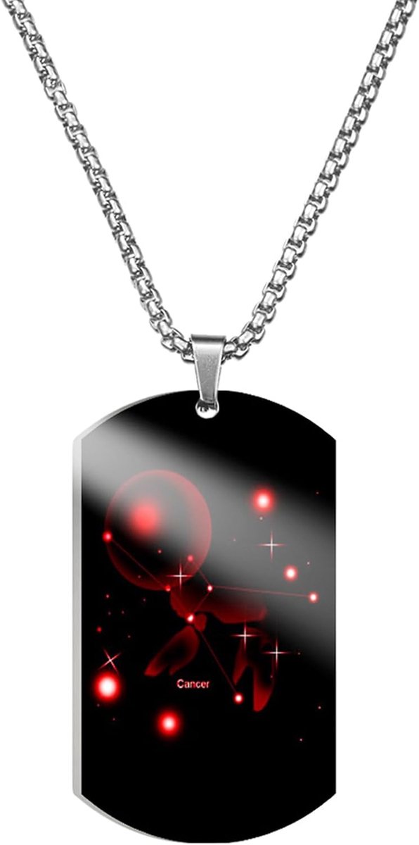 stalen herenketting, sterrenbeeld ketting, sterrenbeeld hanger, cadeau voor vriend, heren halsketting met militaire plaat