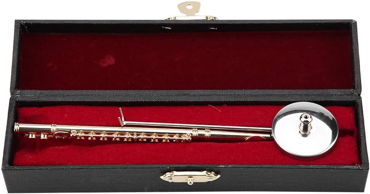 messing fluit, muziek instrument, decoratieve stand en hoes voor thuis, koffiehuis of cadeau