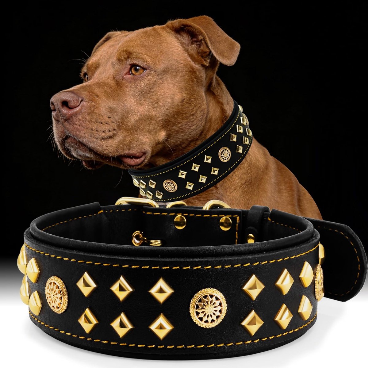 Hondenhalsband 5,5 cm Breed - Handgemaakt Leer met Nieten - RVS Gesp - Voor Grote Honden - ShopVlot