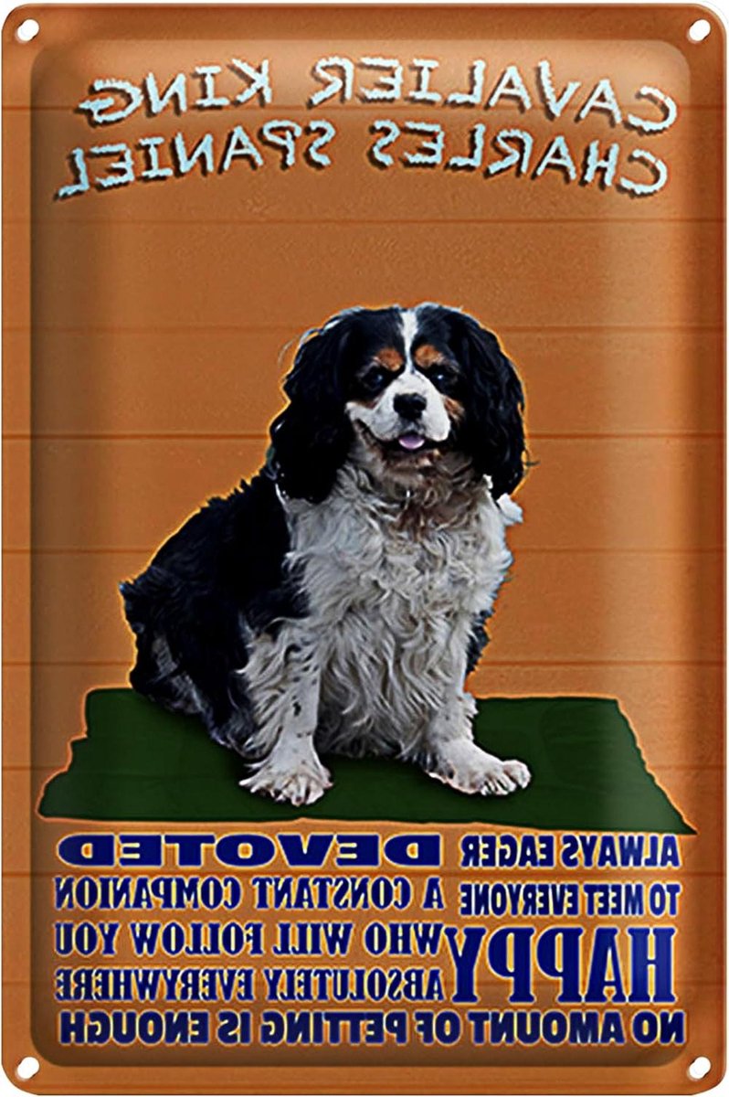 Cavalier King Charles Spaniel Bord - Honden Decoratie - Woonkamer Decoreren - Gevouwen Randen - 20 x 30 cm - Meerkleurig