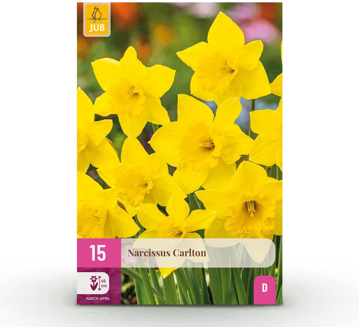 Bloembollen - Narcis Carlton - Kleur Geel - 15 stuks - Bolmaat 12/14 - XXL Pack