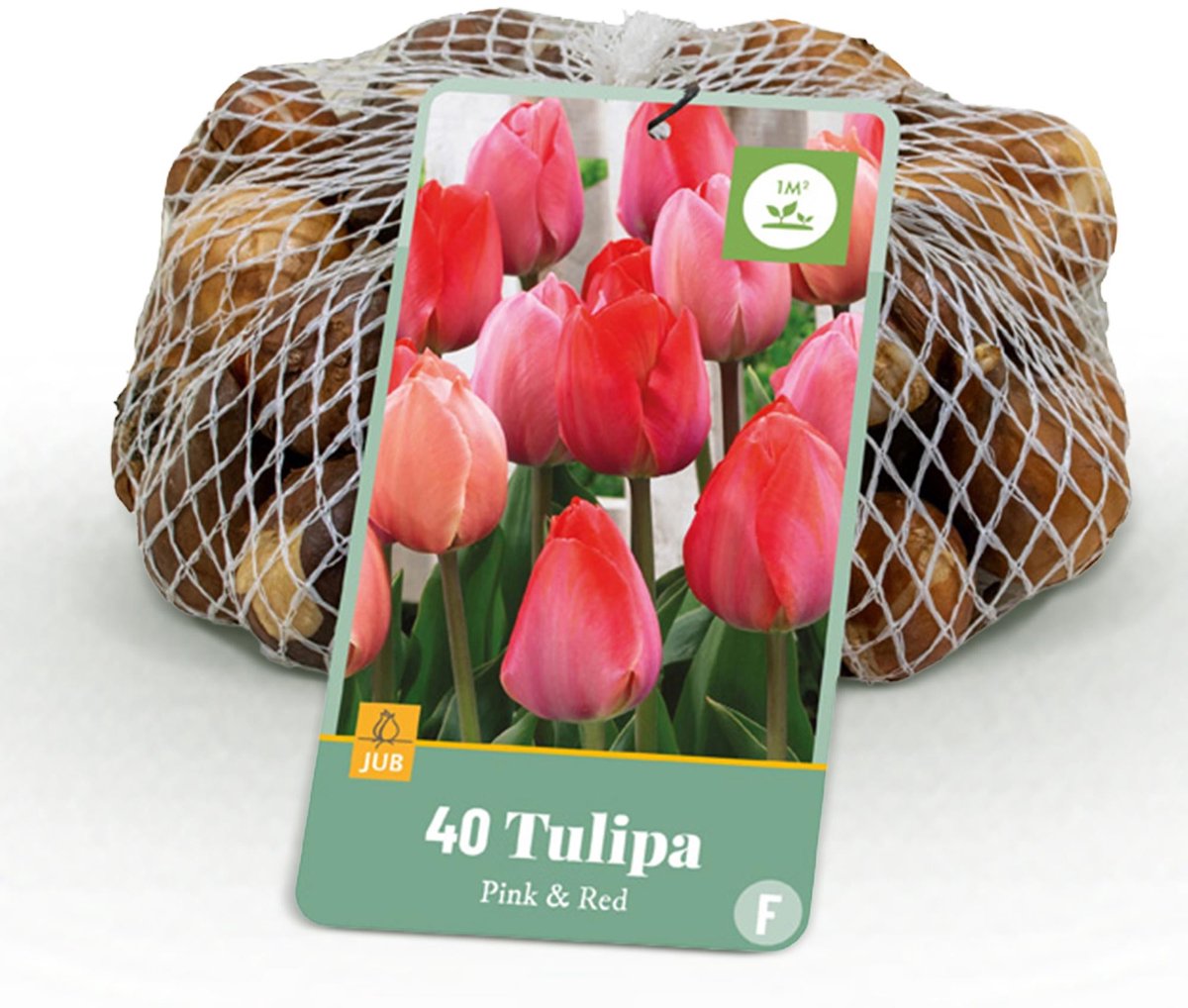 Bloembollen - Tulp Pink en Red - Kleur Roze en Rood - 40 stuks - Bolmaat 10/12