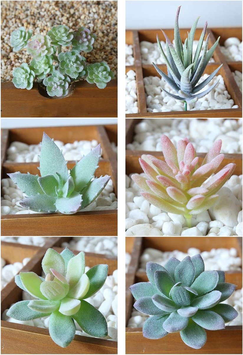Kunstplant Succulenten 6 stuks - Mini Echeveria Picks - Duurzaam PVC - Altijd groen zonder onderhoud - ShopVlot