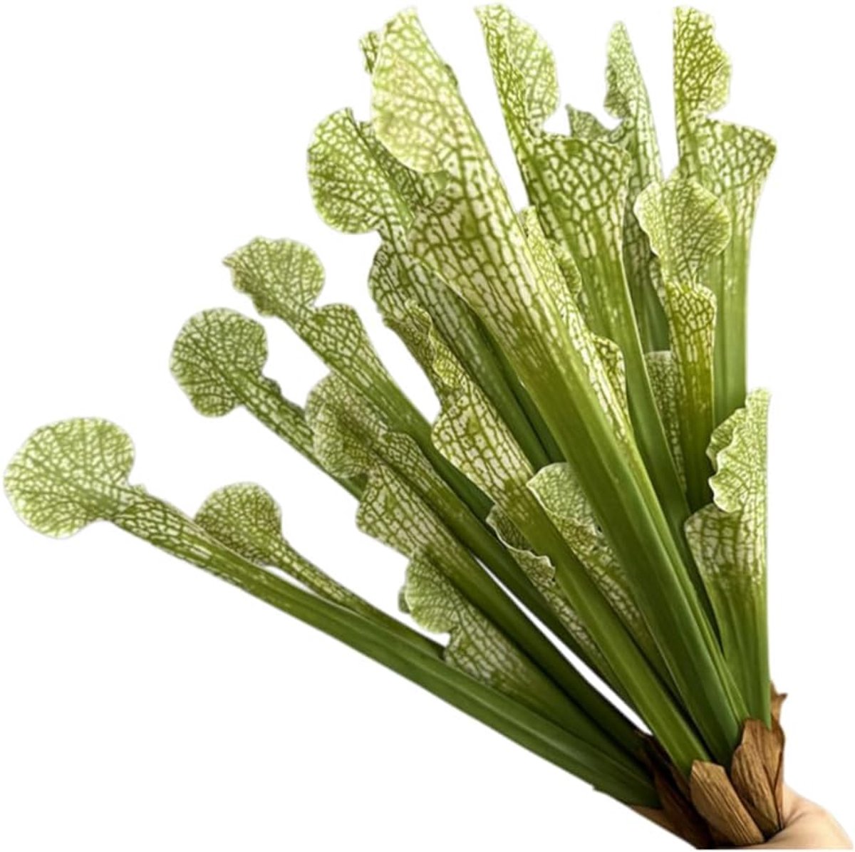 Kunstmatige vleesetende bekerplant - realistisch - 4 stengels - exotische woondecoratie - ShopVlot