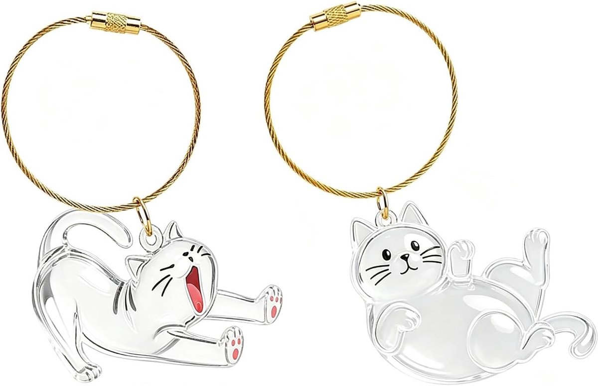 kattensleutelhanger voor dierenhaar - transparant ontwerp - emotionele herinnering - stijlvol accessoire - ShopVlot