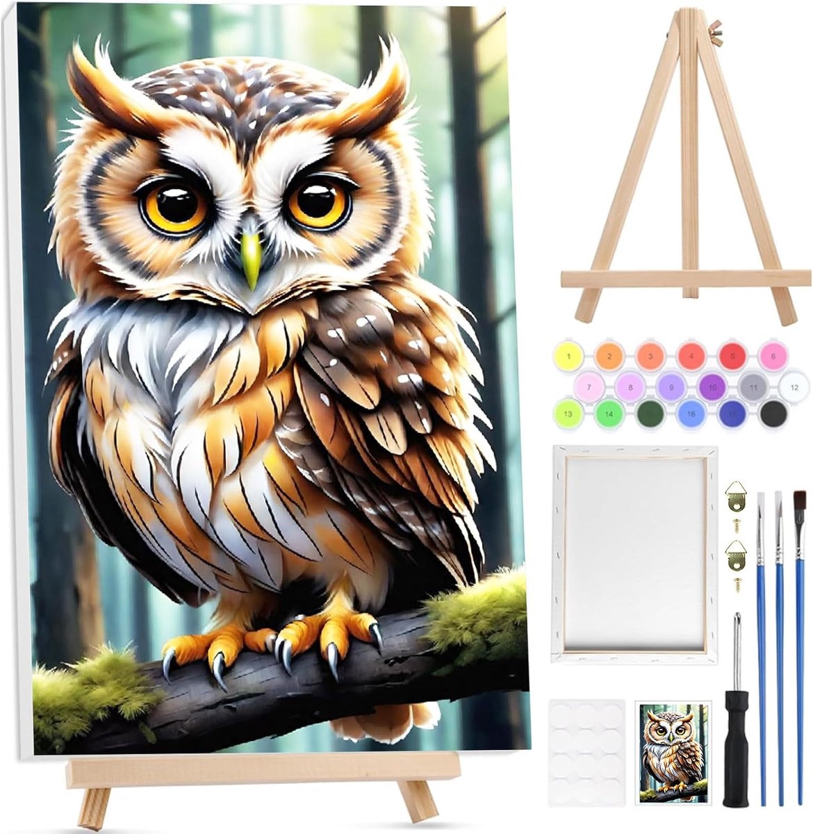 Schilderen op nummer uil - schilderkit voor volwassenen - met houten standaard - creatief thuisdecoratie - ShopVlot