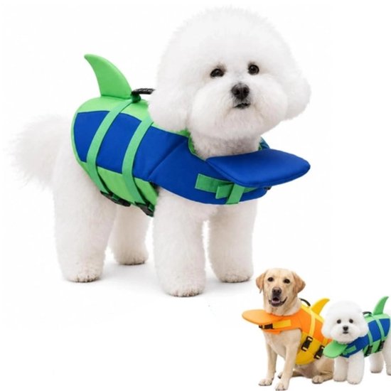 Petit chien blanc avec gilet de natation bleu-vert en forme d'aileron de requin, à côté d'un chien plus grand avec gilet orange.