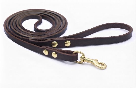 Laisse pour chien en cuir marron enroulée avec un mousqueton en laiton et des boutons dorés.