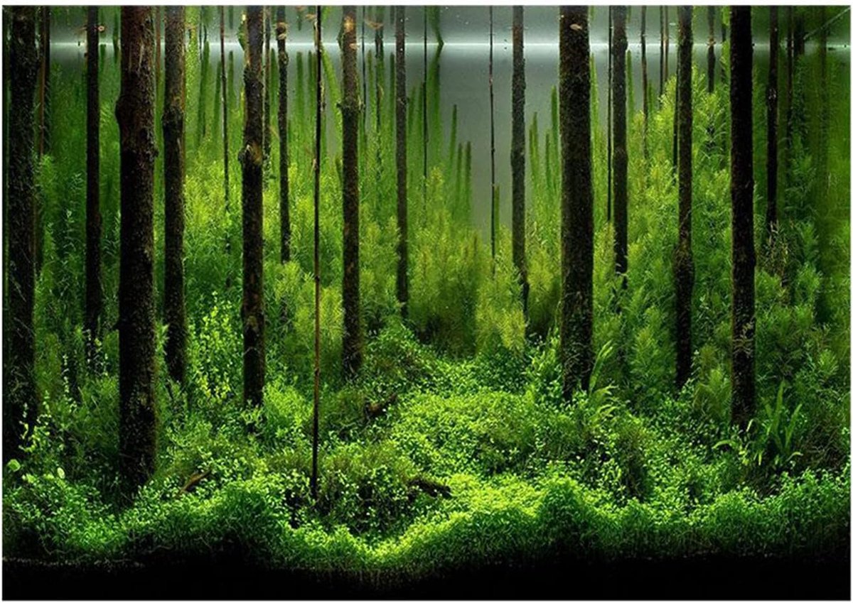 Visserij aquarium achtergrond 61x41cm - PVC poster - Onderwaterdecoratie - Eenvoudig aan te brengen - ShopVlot