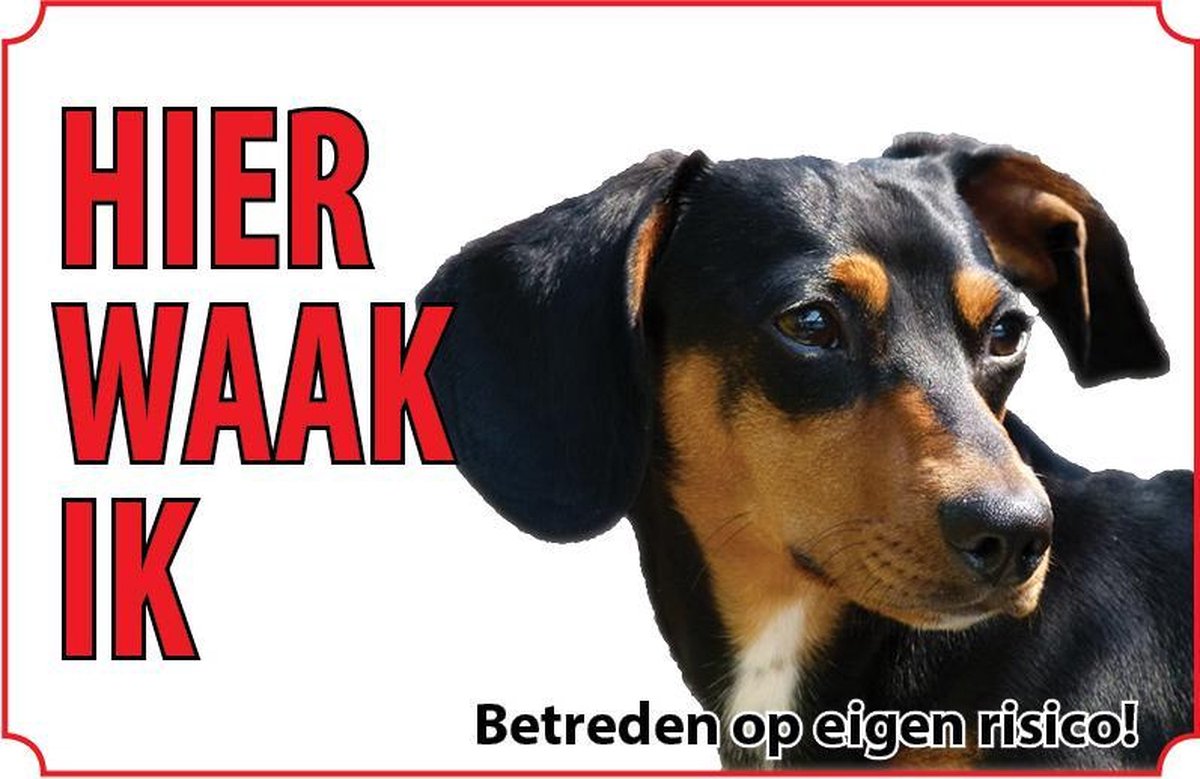 Bord - Hond Dashond-Tekkel