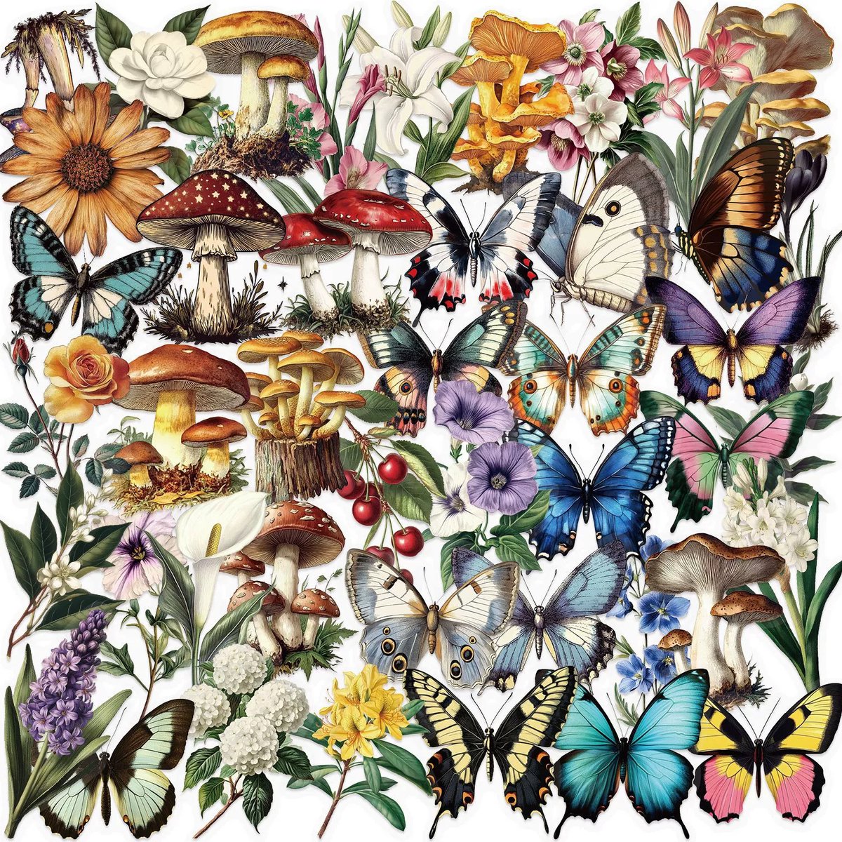Meer Leuks - Transparante Stickers Vlinders, Paddenstoelen en Planten - 50 stuks