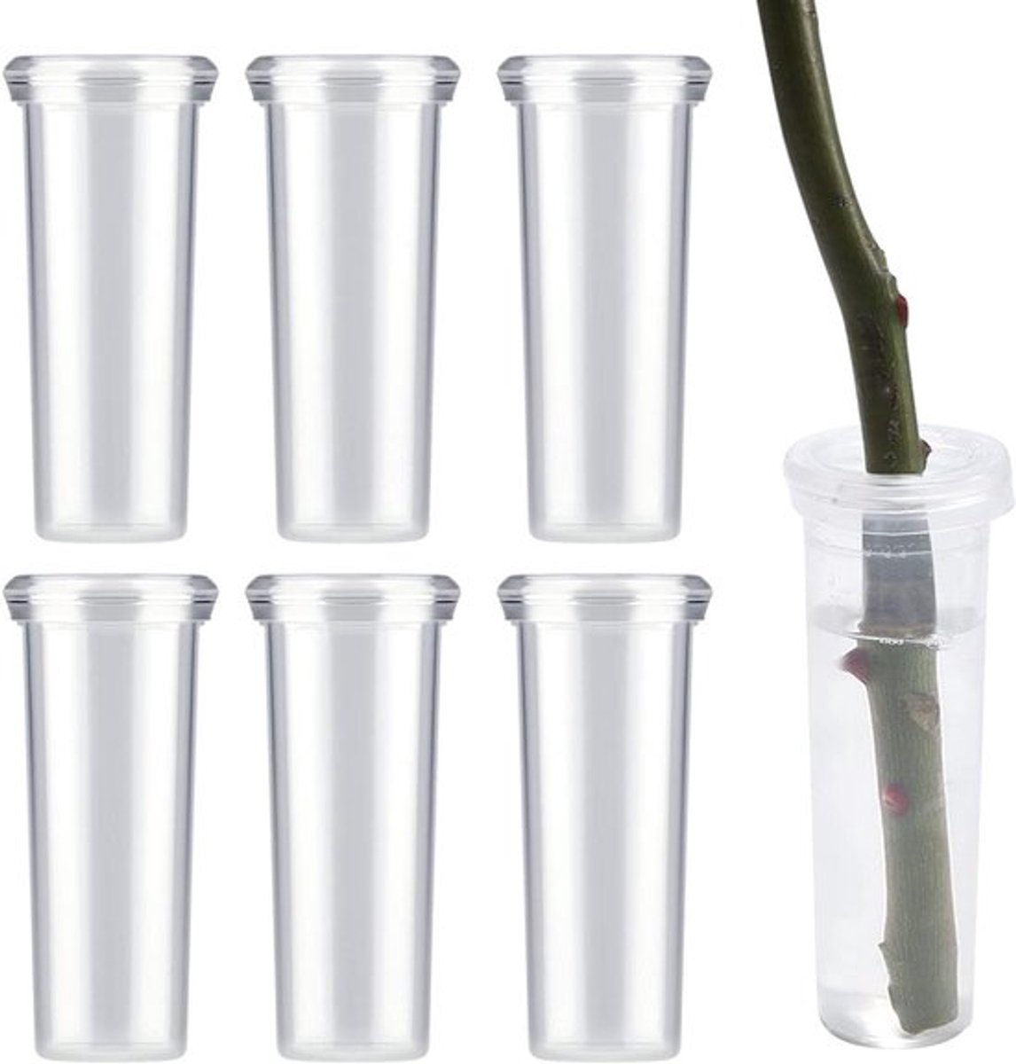 Bloemwaterbuizen met Deksel - Grote Plastic Waterbuizen - Vers Bloemen Kroontjeskruid - Snijarrangement - Transparant - Set van 6